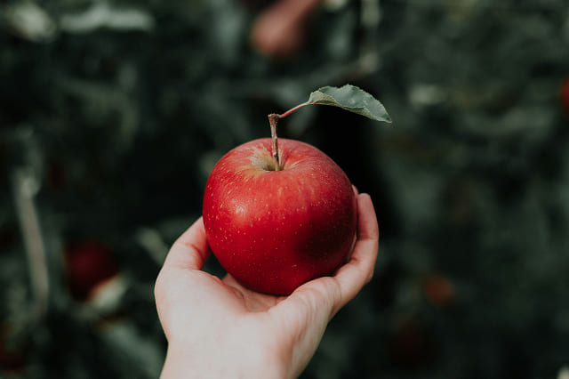 A red apple placed on a hand, being offered forward
